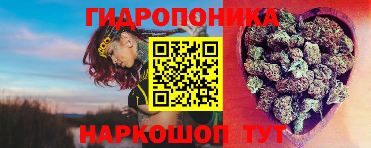 Бошки Шишки планчик Дмитров